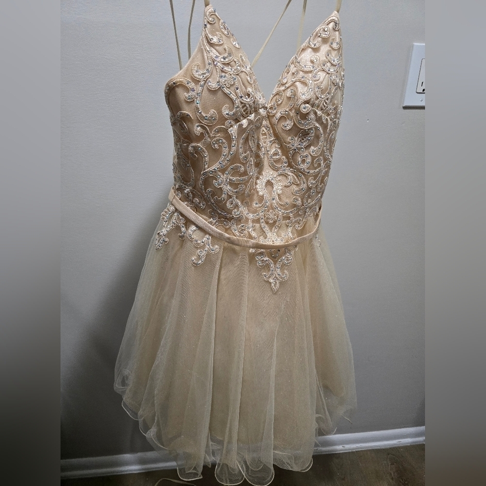 Chic Beige Embellished Gown - Picture 1 of 11